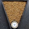thomas-fawcett-crystal-malt