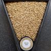 thomas-fawcett-munich-malt
