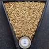 thomas-fawcett-oat-malt