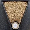 thomas-fawcett-vienna-malt
