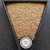 thomas-fawcett-wheat-malt