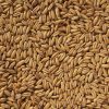 aked-oats-malt-crisp-1-kg