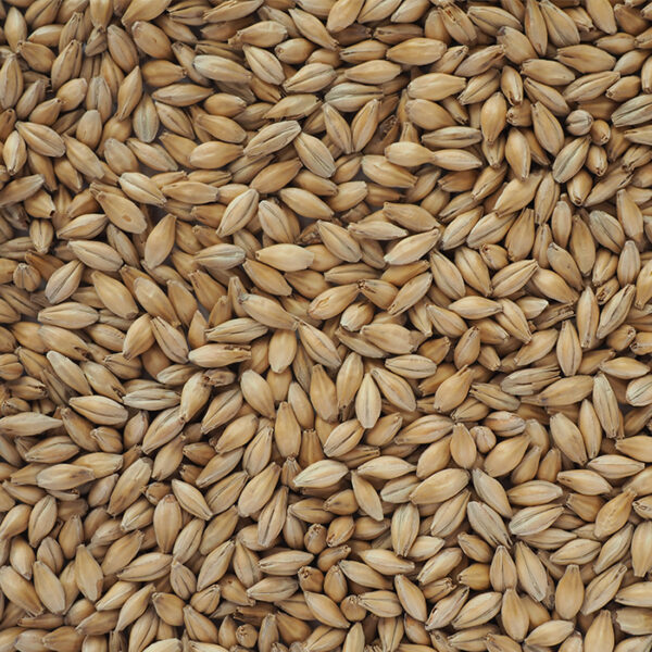 Crisp-Chevallier-Heritage-Malt