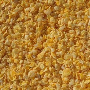 Flaked-Torrefied-Maize