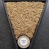 thomas-fawcett-mild-ale-malt