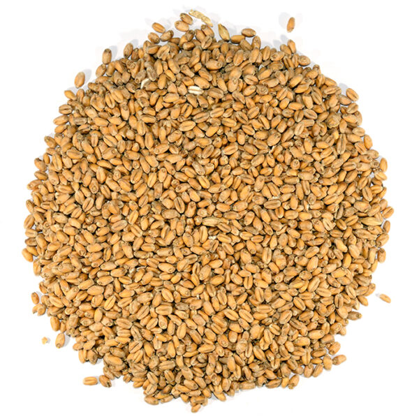 Dingemans Organic Wheat Malt MD