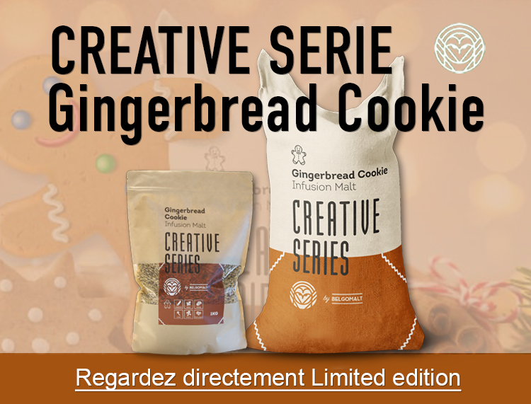 sbi-gingerbread-cookie-klein-FR