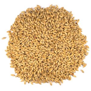 dingemans-dextrin-md-25-kg dingemans-dextrin-md-25-kg