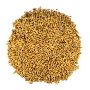 dingemans-melanoidin-md-25-kg