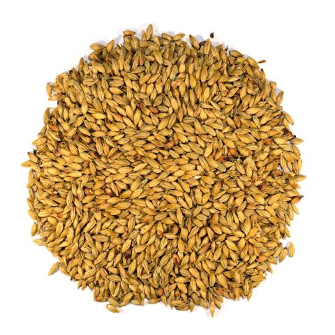 dingemans-melanoidin-md-25-kg