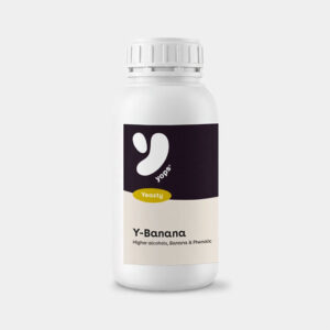 y-banana-250-ml