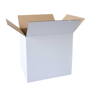 doos-wit-33-cl-apo-ln-12-flessen
